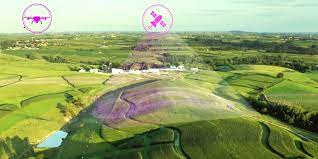 A green field is overlaid with purple graphics showing where drones receive signals from modified plants.