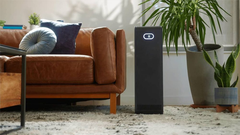 Living room with sofa, Blip smart battery and house plants