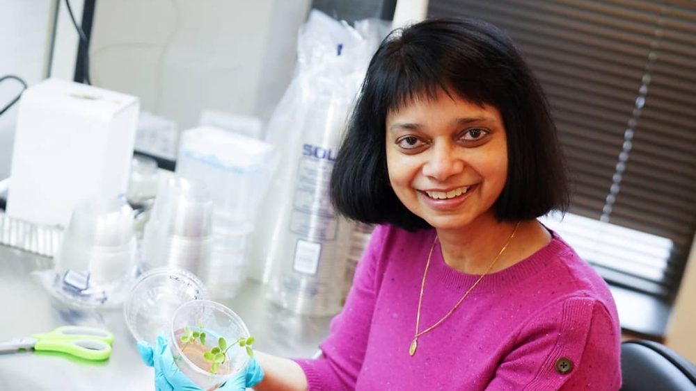 Dr. Mary Fernandes