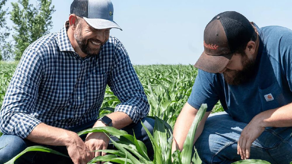 Two men examine crops in a green field.