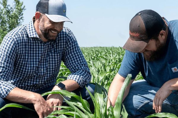 Two men examine crops in a green field.