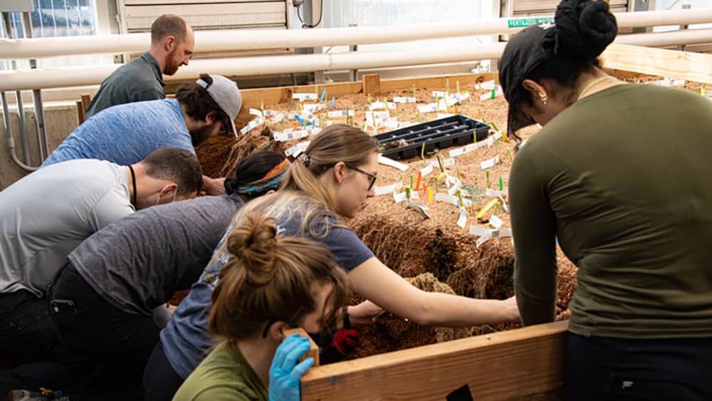 A group of people work on an indoor plant box.