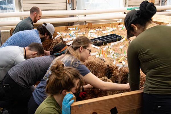 A group of people work on an indoor plant box.
