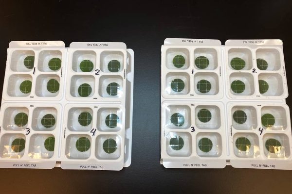 RNAissance AG bioassay