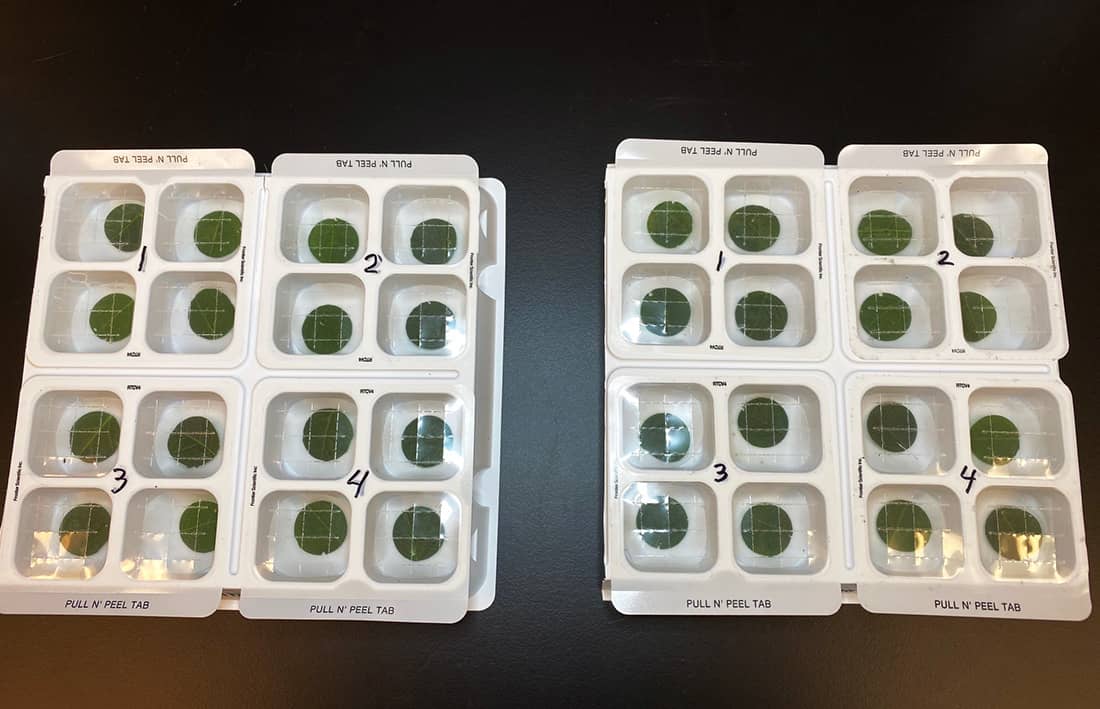 RNAissance AG bioassay