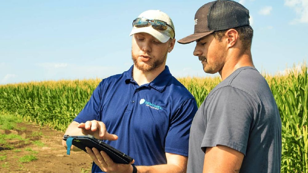 Two men view tablet in crop field