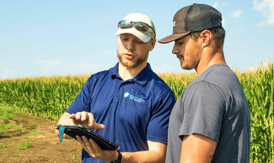 Two men view tablet in crop field